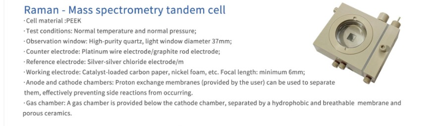 Raman–Mass Spectrometry Tandem Cell — SSI catalogue section
